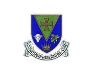Roscommon History and Heritage: Holy Wells and Crosses