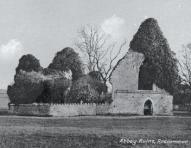 Roscommon History and Heritage: 7