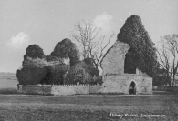 Roscommon Abbey c.1253 
