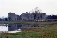 Roscommon Castle (1268) and Loughnannane